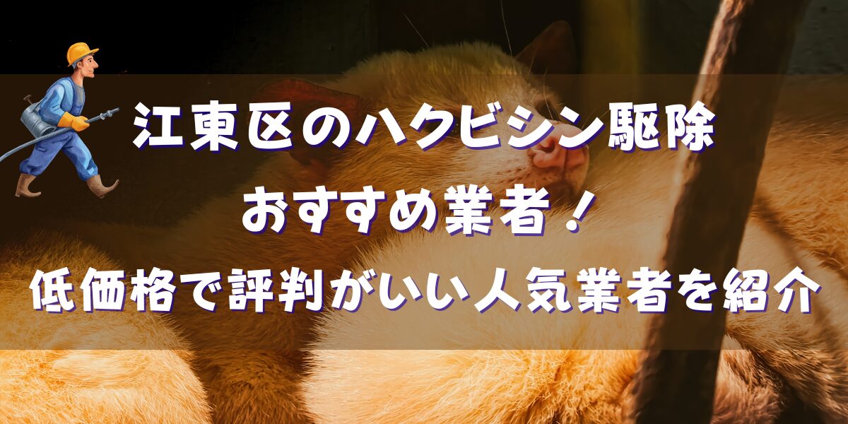 江東区のハクビシン駆除業者おすすめ19選！低価格で評判がいい人気の業者を紹介
