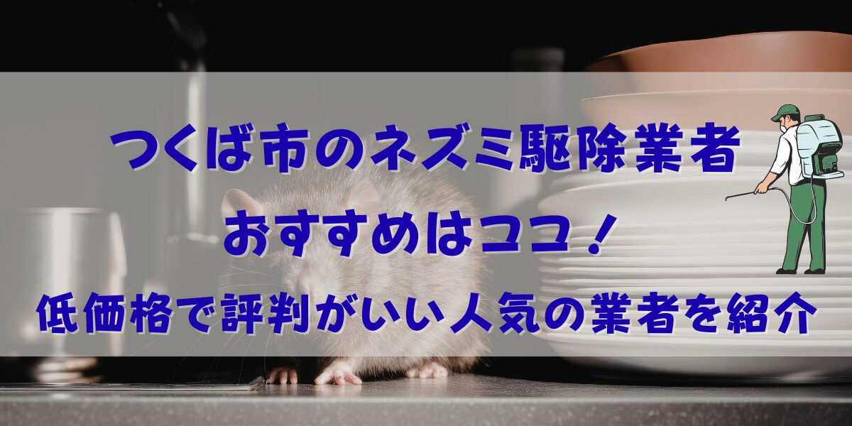 つくば市のネズミ駆除おすすめ業者12選！低価格で評判がいい人気の業者を紹介