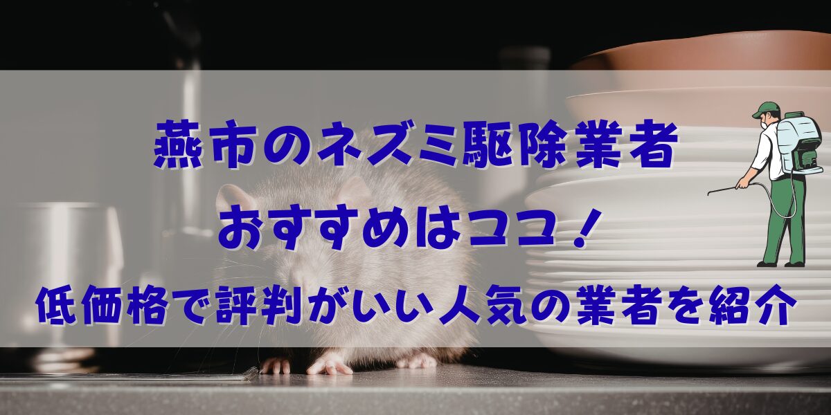 燕市のネズミ駆除おすすめ業者6選！低価格で評判がいい人気の業者を紹介