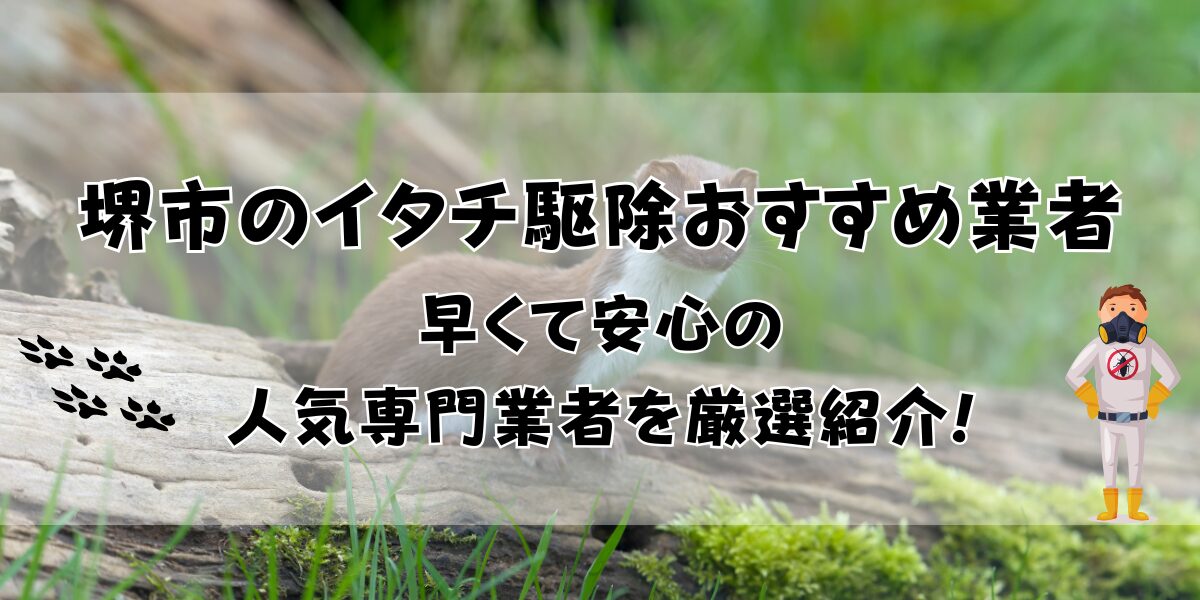 堺市のイタチ駆除おすすめ業者12選！早くて安心の人気専門業者を厳選紹介