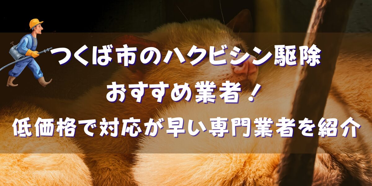つくば市のハクビシン駆除おすすめ業者11選！低価格で対応が早い専門業者を紹介