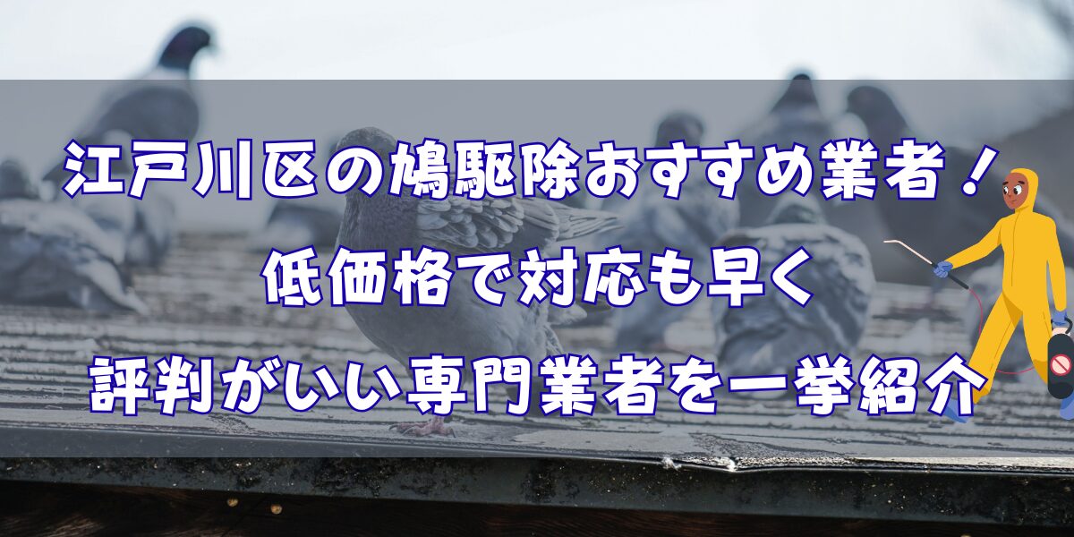 江戸川区の鳩駆除おすすめ9選！低価格で対応も早く評判がいい専門業者を一挙紹介