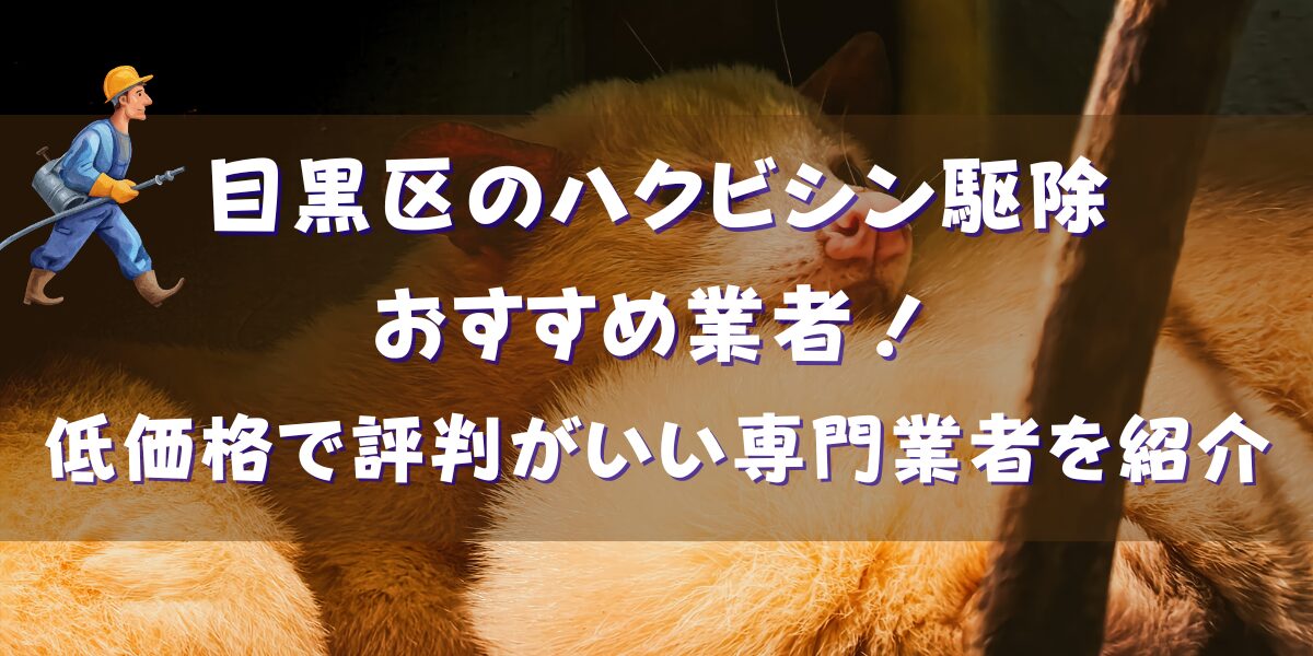 目黒区のハクビシン駆除おすすめ19選！低価格で評判がいい専門業者を一挙紹介