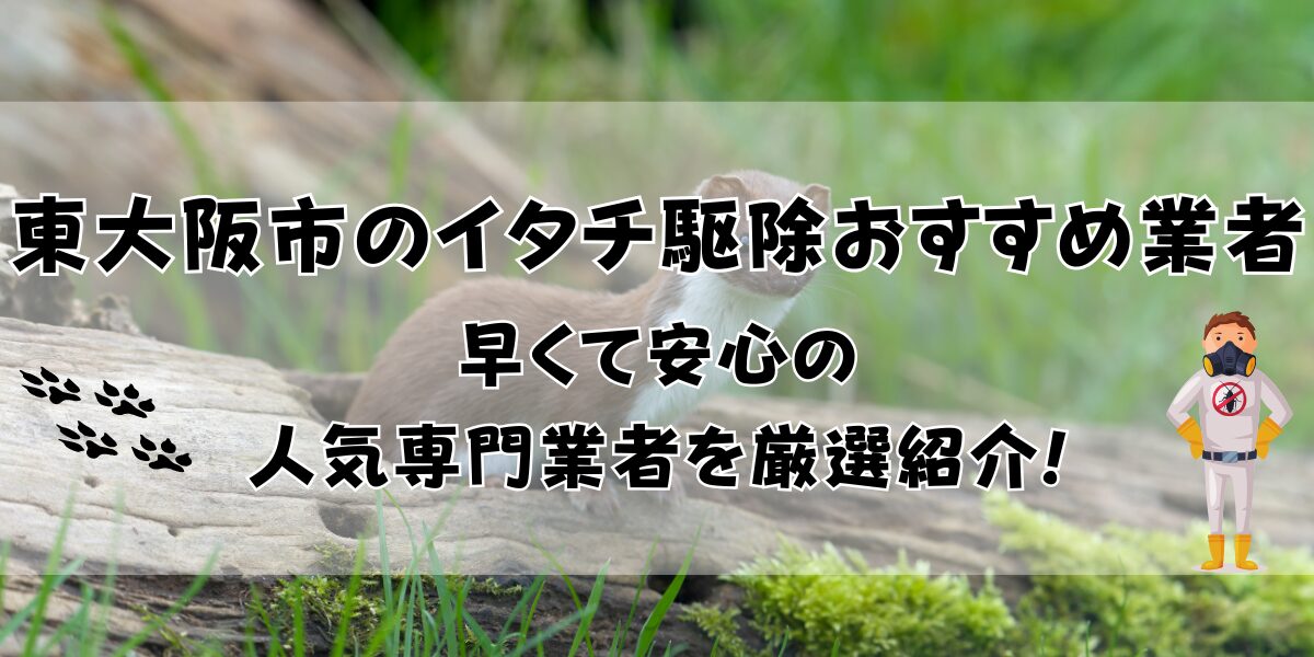 東大阪市のイタチ駆除おすすめ業者10選！早くて安心の人気専門業者を厳選紹介
