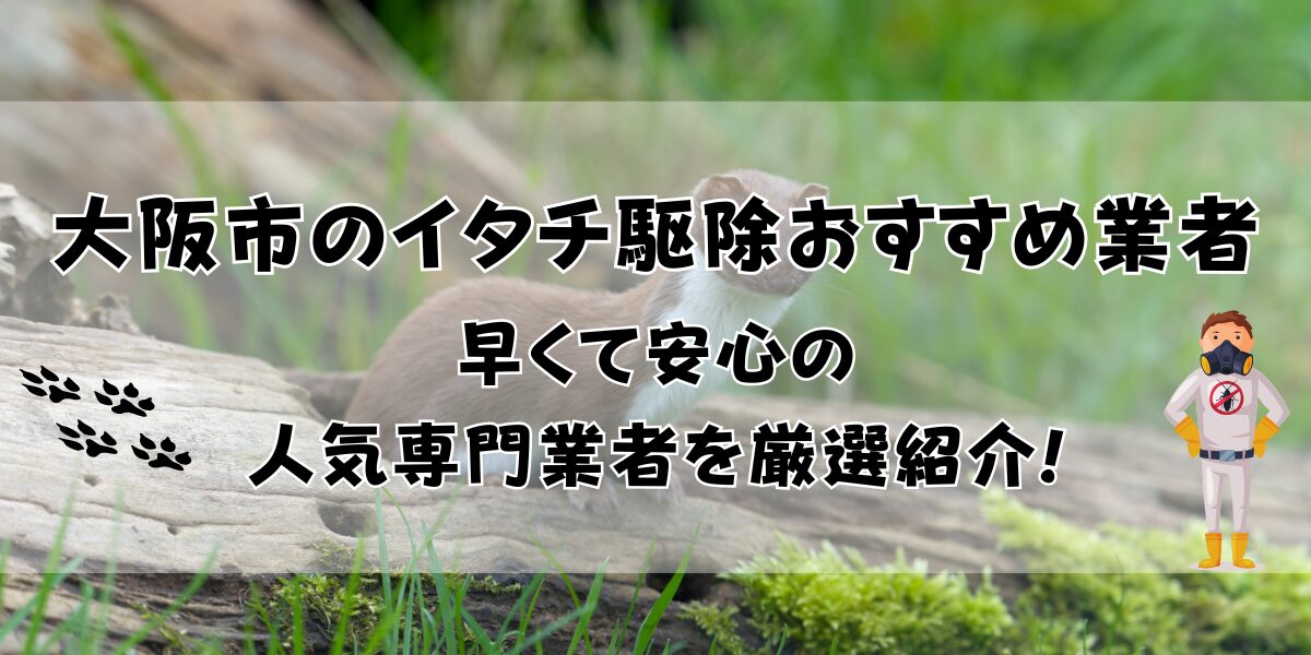 大阪市のイタチ駆除おすすめ業者10選！早くて安心の人気専門業者を厳選紹介