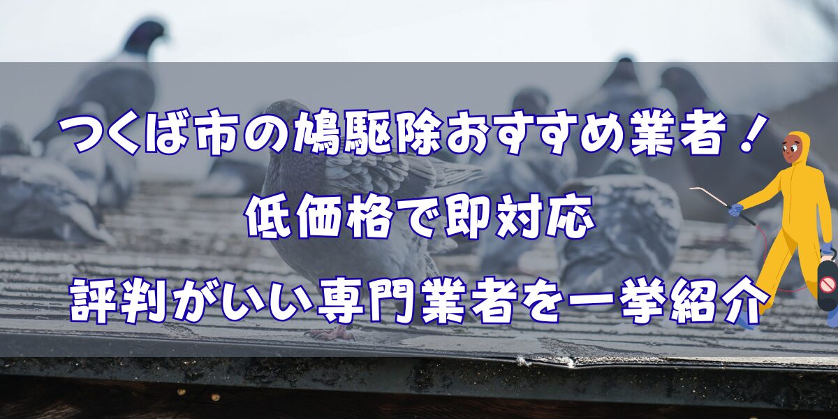 つくば市のハト駆除おすすめ4選！低価格で対応が早い専門業者を厳選紹介