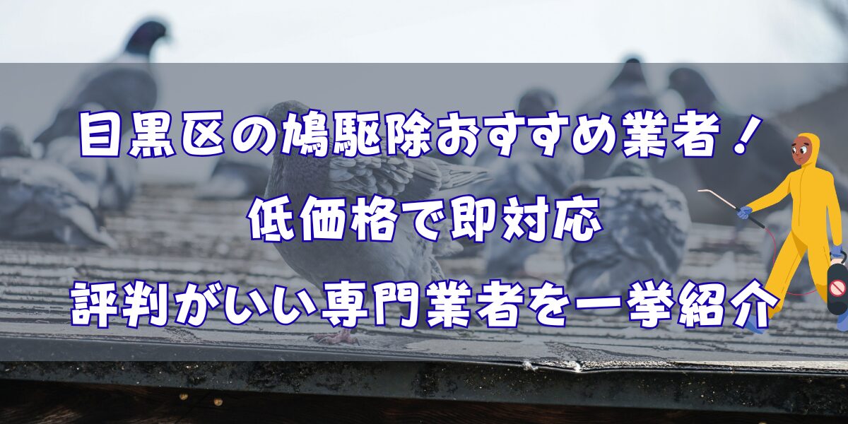 目黒区のハト駆除おすすめ5選！低価格で対応も早く評判がいい専門業者を厳選紹介