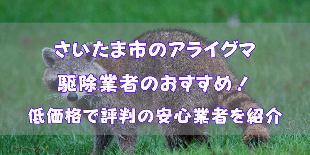 さいたま市のアライグマ駆除業者おすすめ14選！低価格で評判の安心業者を紹介