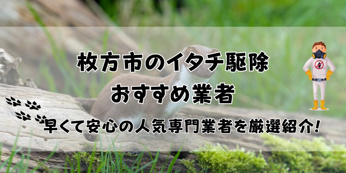 枚方市のイタチ駆除業者おすすめ12選！早くて安心の人気専門業者を厳選紹介