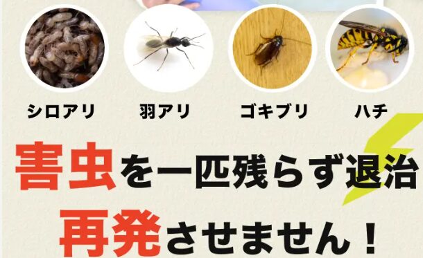 街角害虫相談所