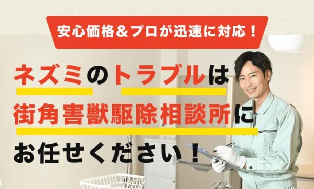 街角害獣駆除相談所